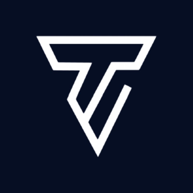Taisseer Visual logo